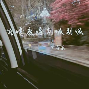 咚嘎度嘎别吸别吸