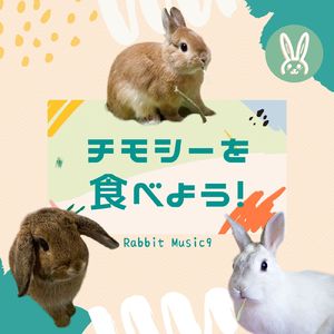 チモシーを食べよう！