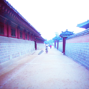 Alone By The Sea Live in Seoul (Nov 16, 2013)