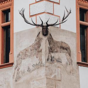 玫瑰伴奏-韩鹏宇cover贰佰