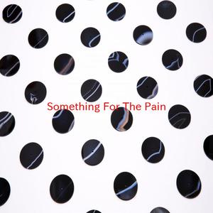 Something For The Pain (Tribute version originally performed by Bon Jovi)