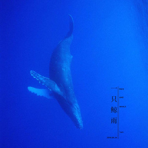 一只鲸雨