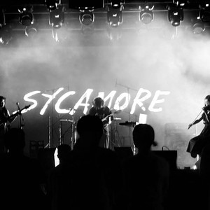 Love letter (情书）