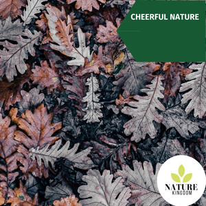 Moderate Freezing Rain Droplets