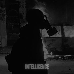 INTELLIGENCE