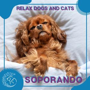 차갑고 차분한