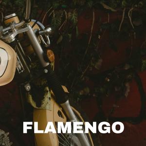 flamego