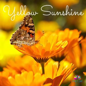 Yellow Sunshine (Relaxing Solo Piano Music)
