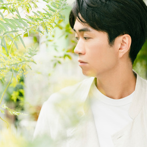 春に見た夢の跡に