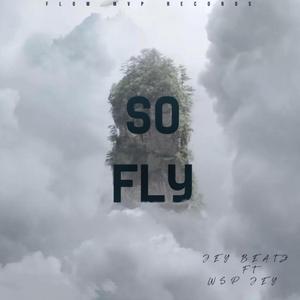 So Fly (feat. Wsp Jey)