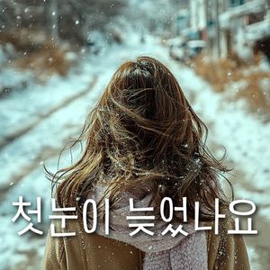 첫눈이 늦었나요