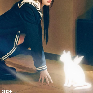 借来的猫（cover：ILLIT）