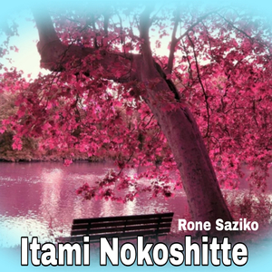 Itami Nokoshitte