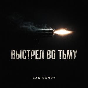 Выстрел во тьму