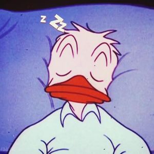 陈年旧事freestyle（pro 9zi）