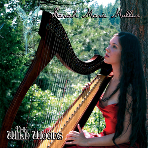 The Soldier's Joy (Soldier's Joy / Whiskey Before Breakfast / The Galway Hornpipe)