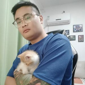 凶狠凯蒂和Asen结婚