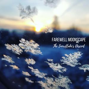 The Snowflake's Descent