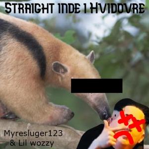 Straight inde i hvidovre (DISSTRACK)