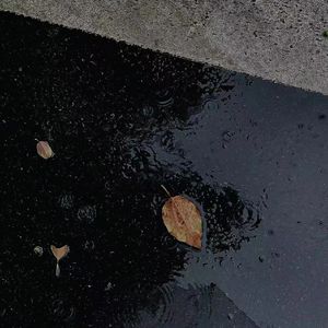 你要记得（prod.Siren)