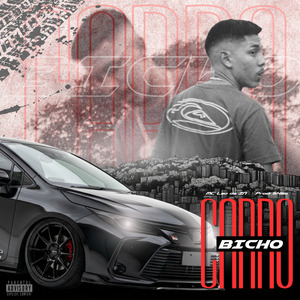 Carro Bicho