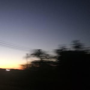 我愿意（翻自 王菲）