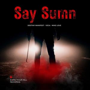 Say Sumn (feat. Vega & Mike Love)