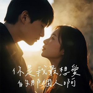 你是我最想爱的那个人啊