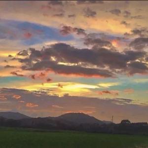 爱你是那么辛苦