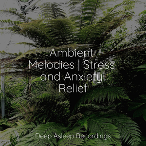 Peaceful Wind Chimes