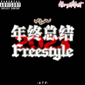 年终总结Freestyle