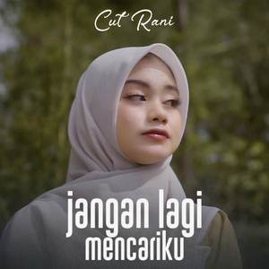 Jangan Lagi Mencariku