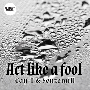 Act like a fool (Original Mix)