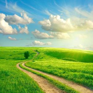 【free】吉他/旋律/ type/ beat 青青草原