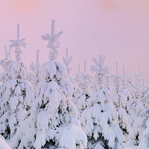 If There is an Afterlife