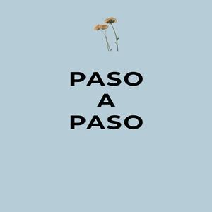 Paso a Paso