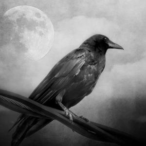 我见过 Prod BY MEGA