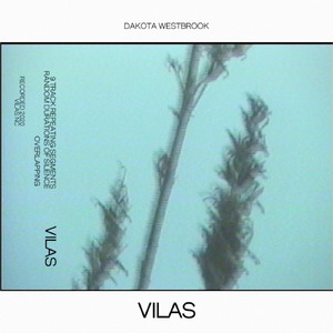Vilas