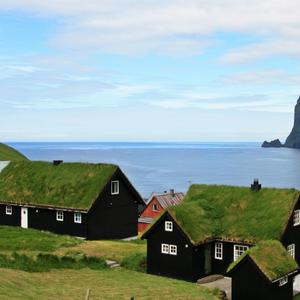 如同幻梦 (现场)