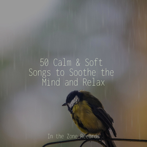 Journey Across Space