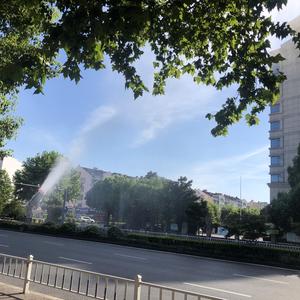 一百种孤独的理由