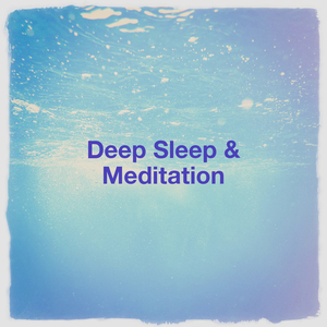 Sleep Sounds from Thadobati Bowls
