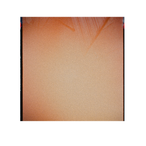 浴室(2019 Reprise)cover