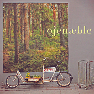 Verden Mister Sine Farver