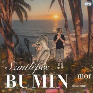 Next Level Hater Shit (feat. mor)