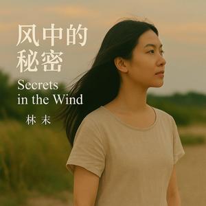 风中的秘密