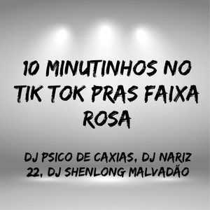 10 Minutinhos no Tik Tok Pras Faixa Rosa, Vol. 2