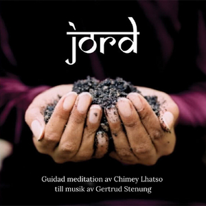 Introduktion Skelettguidningen