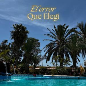 El error Que Elegi