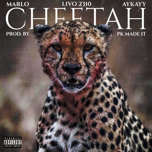Cheetah